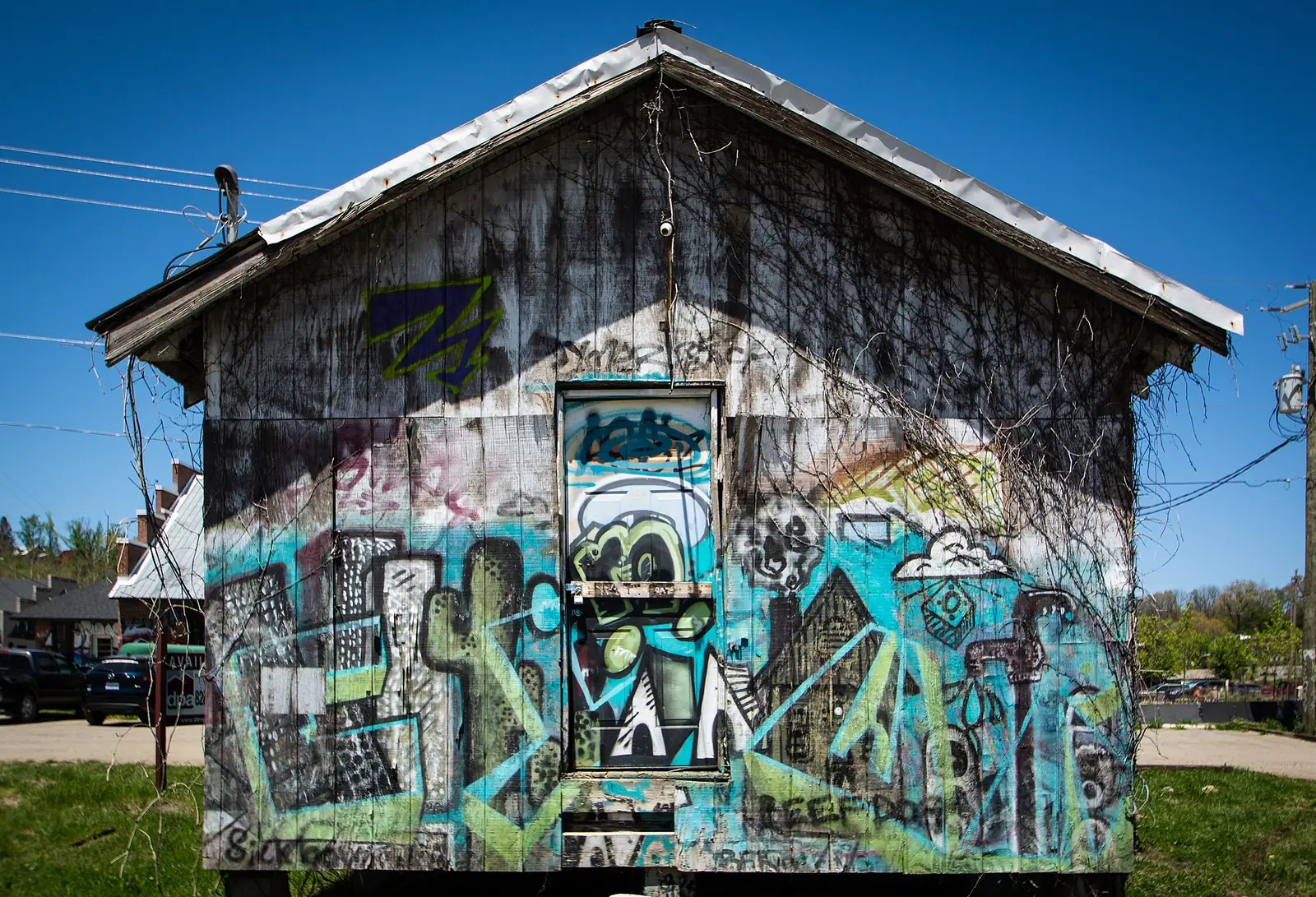 A small building covered in graffiti murals in the River Arts District along the French Broad River in Asheville.