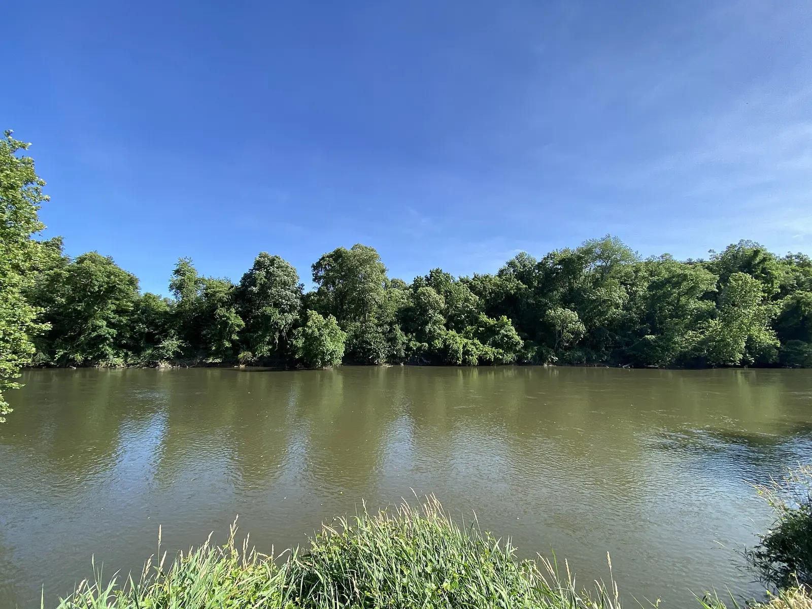 The French Broad River in Asheville, which the French Broad River Greenway follows along its west bank.